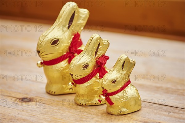 Decoration with golden chocolate bunnies for easter, Germany, Europe