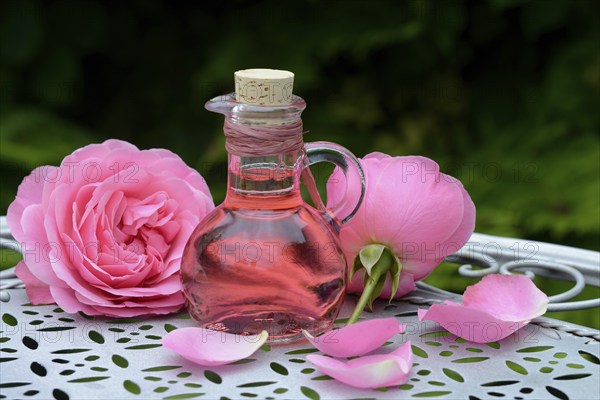 Rose blossom foam bath and rose blossoms, wellness