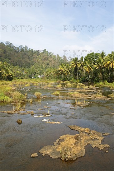Periyar River, Thekkady, Kerala, India, Asia