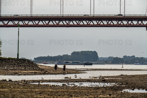 Rhine at Emmerich, extremely low water, Rhine level at 0 cm, falling trend, Rhine bridge B220,