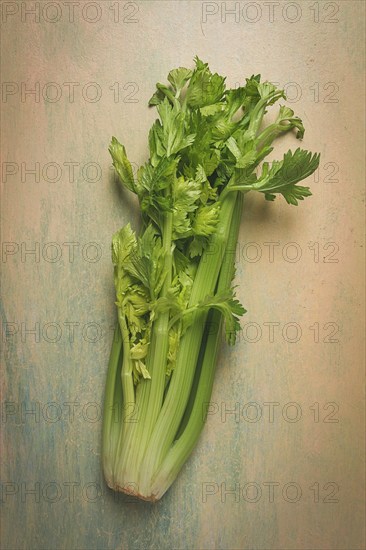 Fresh bunch of celery, top view, no people