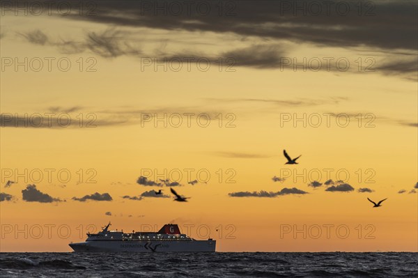 Gotland ferry accompanied by seagulls sailing towards the Hanseatic town of Visby after sunset,