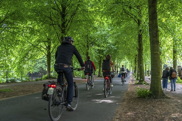 Promenade cycle path, tree-lined, car-free, approximately 4.5 km long ring road around the city