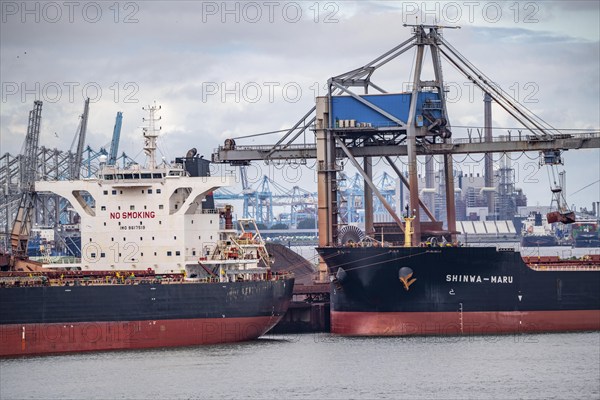 Bulk carriers, cargo ships for bulk goods such as coal, ores, sand, are unloaded in the seaport of