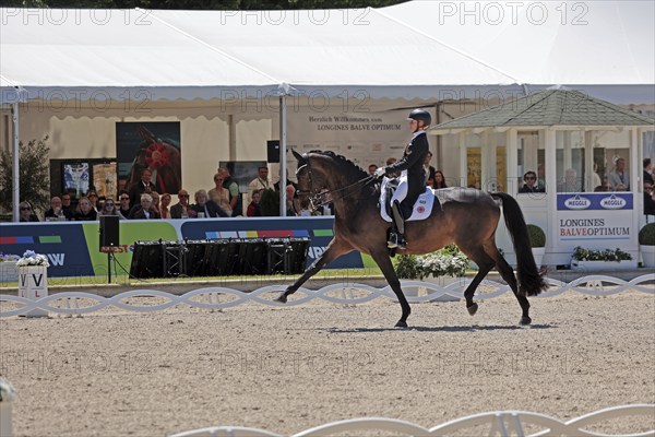 Jessica von Bredow-Werndl on TSF Dalera, dressage rider, Olympic gold medallist, Balve