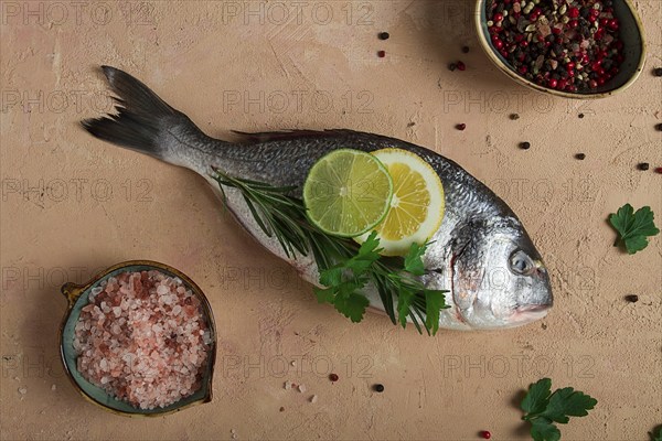 Fresh, raw dorado fish, top view, no people