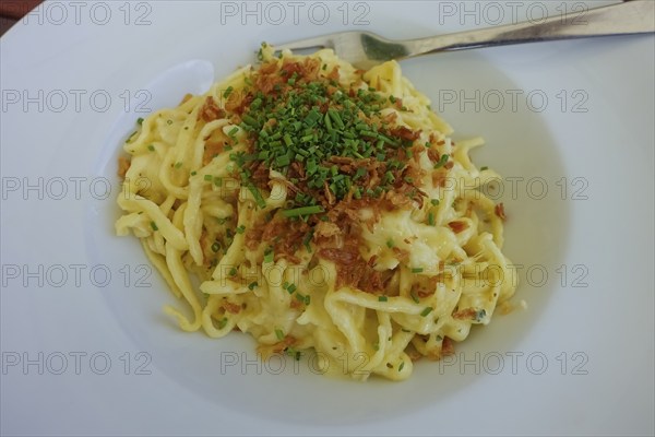 Swabian cuisine, traditional cuisine, home cooking, typical Swabian, hearty, Kässpätzle with