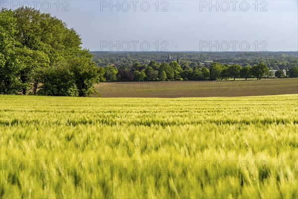 Sonsbeck Switzerland, a part of the Lower Rhine mountain range, an end moraine pushed up during the