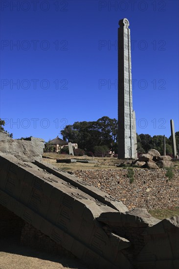 Tigray region, in the stele park of Axum, Aksum, ancient cemetery of the Axumite kings, Ethiopia,