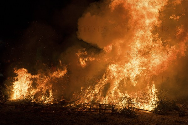 Environmental pollution, fire from discarded Christmas trees, Ostfildern-Plieningen,