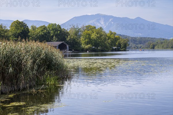 Bootshaus am Staffelsee, Seehausen, Upper Bavaria, Bavaria, Germany, Europe