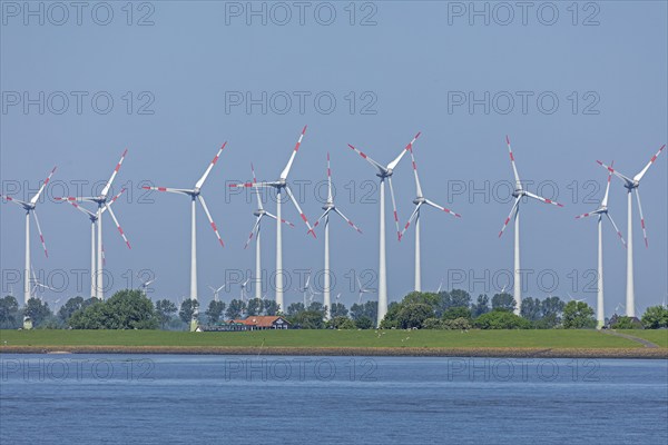 Wind farm near Brunsbüttel, Haus, Elbe, Schleswig-Holstein, Germany, Europe