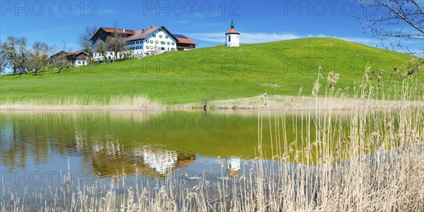 Hegratsrieder See, near Füssen, Allgäu, Bavaria, Germany, Europe