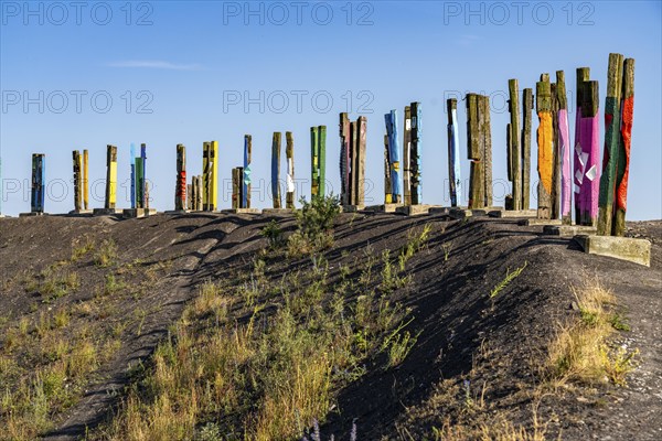 The Haniel spoil tip, 185 metre high spoil tip at the Prosper Haniel mine, which was closed in