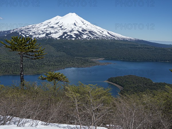 View from hiking trail Sierra Nevada, lake Conguillio, araucaria forest, volcano Llaima, Conguillio