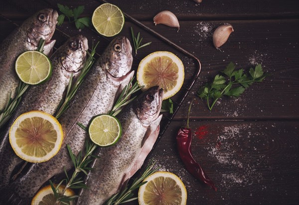 Raw rainbow trout, with lemon and herbs, on a wooden table, no people