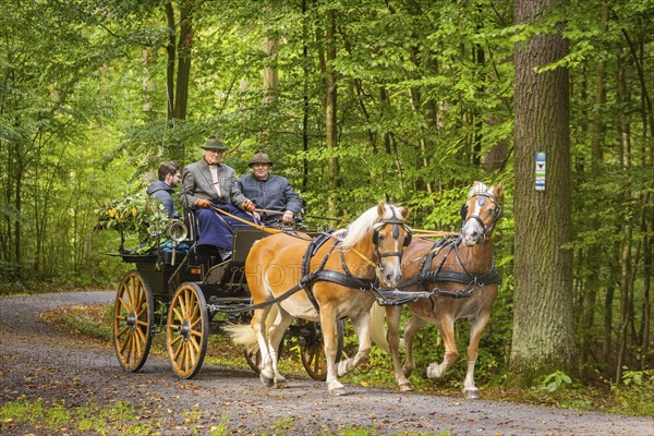 Presentation and route ride, all carriages in stylish tension, popular sporting event over approx.