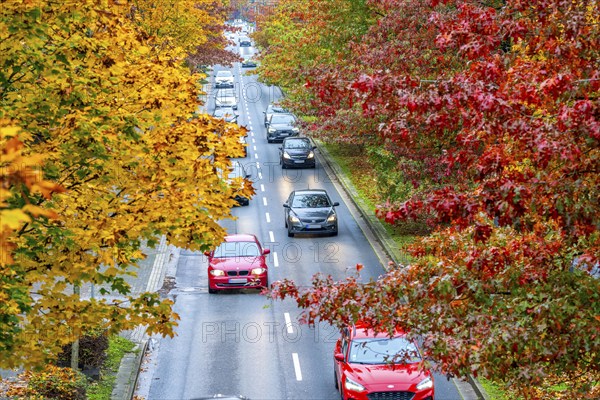 Autumn, road traffic, inner-city, trees in autumnal colours line a 4-lane road, symbolic image,