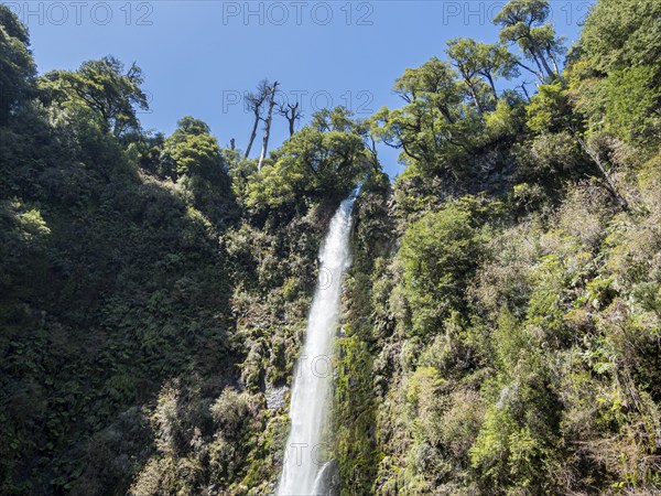 Waterfall Salto La China, valley of waterfalls east of Pucon, La Auracania, Chile, South America