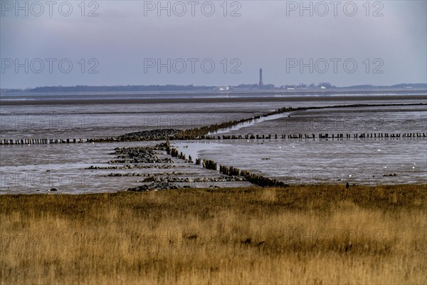 The Wadden Sea, East Frisia, near Lower Saxony, view to the island of Norderney, Norddeich,