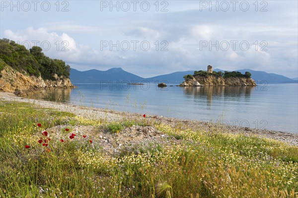 Picturesque beach with a view of an island in the calm sea, Nisiotissa beach, in the north of the