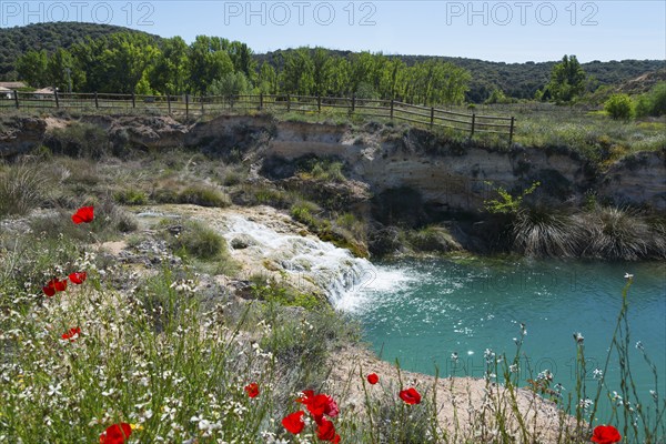 A waterfall flows into a turquoise-coloured lake, surrounded by blooming flowers and green