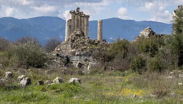 Excavation site site of the ancient city of Aphrodisias, today's city of Geyre, Karacasu, Aydin,