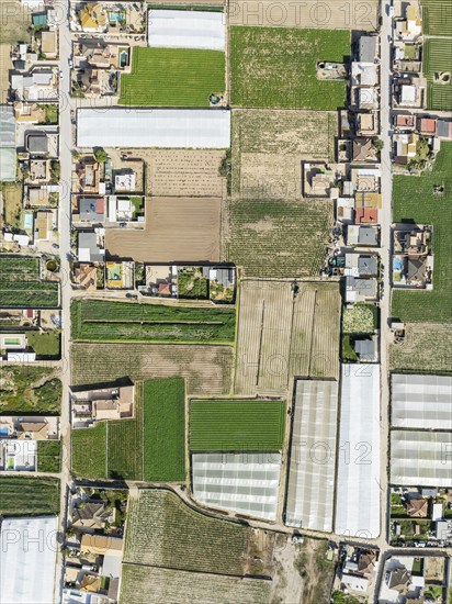 The semi rural district of La Algaida with its cultivated fields next to Sanlúcar de Barrameda.