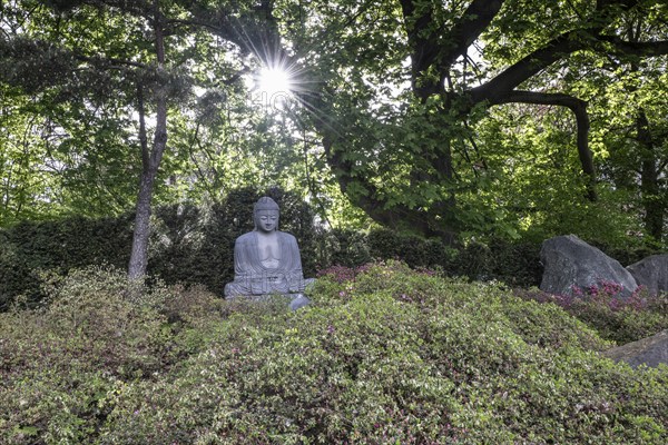 Japanese Garden, Bad Langensalza, Thuringia, Germany, Europe