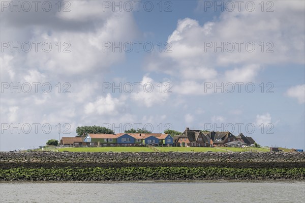 Hallig Hooge, Backenswarft, North Frisia, Schleswig-Holstein, Germany, Europe