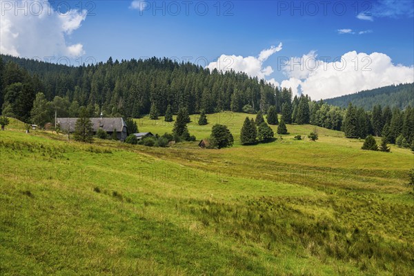 Old picturesque farm, Windberghof, St Blasien, Southern Black Forest, Black Forest, Germany, Europe