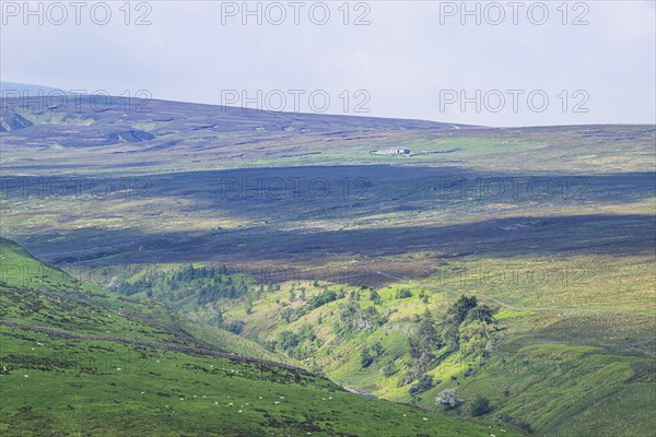 Farms over North Pennines, Cumbria, Durham, Northumberland, North Yorkshire, England, United