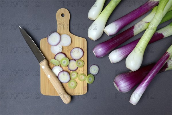Spring onions and onion rings with a knife on a wooden board, spring onion