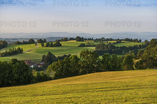 Panorama, sunrise, near Görwihl, Hotzenwald, Southern Black Forest, Black Forest,
