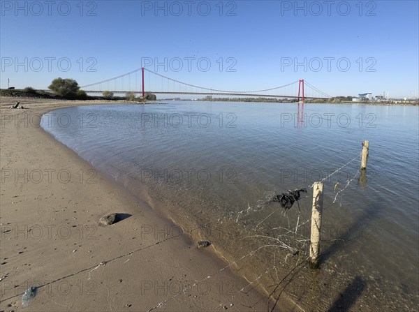 View from the left bank of the Rhine, western bank of the Rhine, of an earth-anchored suspension