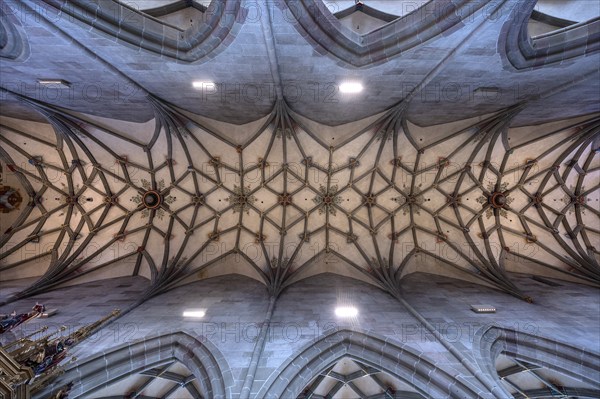 Late Gothic ribbed vault from the Heilig-Kreuz-Münster, 15th century, Rottweil, Baden-Württemberg,