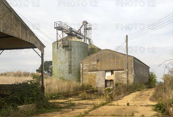 Grain storage silos and asbestos barn in farmyard, Alderton, Suffolk, England, UK