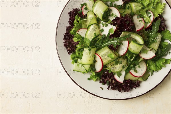 Vegetable salad, radishes and cucumbers, radish micro-greens, lettuce leaves, green onions,