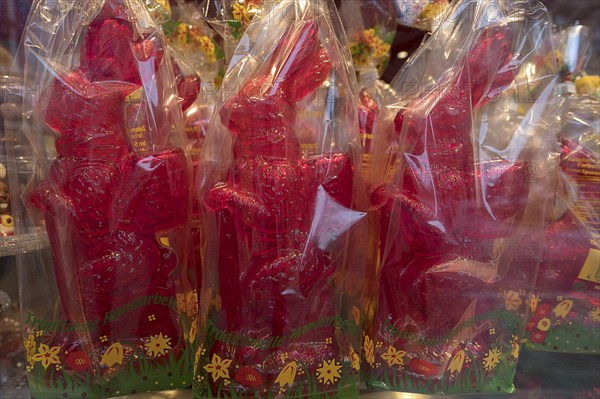 Red rabbit figurines wrapped in cellophane, in the shop window of a confectionery, Bavaria,
