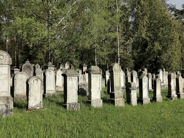 Jewish cemetery, Jewish cemetery Burgkunstadt, one of the largest Jewish country cemeteries in