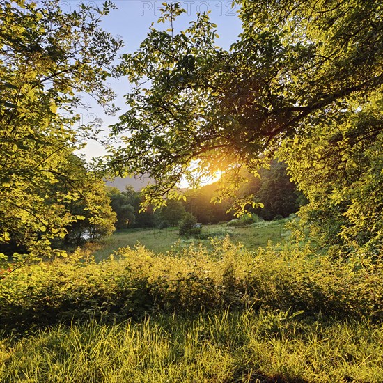 Atmospheric sunset in the Our valley, Gemünd an der Our, Ösling, Islek, Southern Eifel nature park