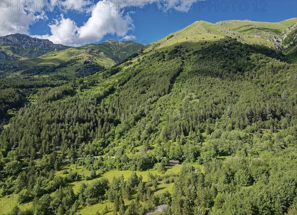 Wooded slope and above it the tree line in the mountain landscape in the Gran Sasso and Monti della