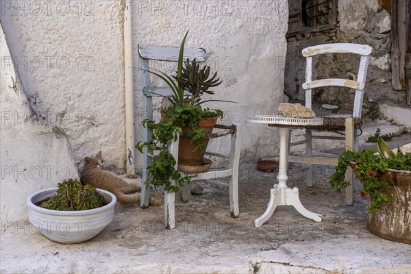 The village of Kritsa, with just under 1300 inhabitants, a mountain village with narrow streets in