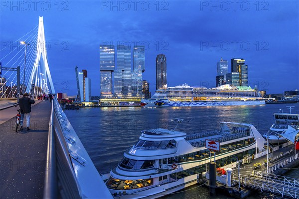 Rotterdam, skyline at the Nieuwe Maas, Erasmus Bridge, skyscrapers at the Kop van Zuid district,