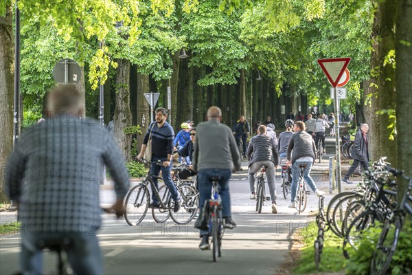 One of 4 road crossings of the Promenade cycle path, a tree-lined, car-free, approximately 4.5 km