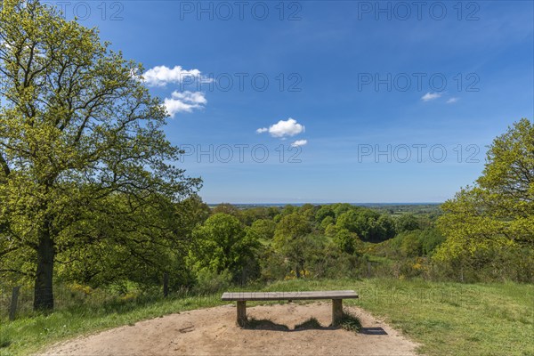 Svanninge Bakker, Faaborg, wooded heights in southern Funen, nature reserve, recreation, hiking,