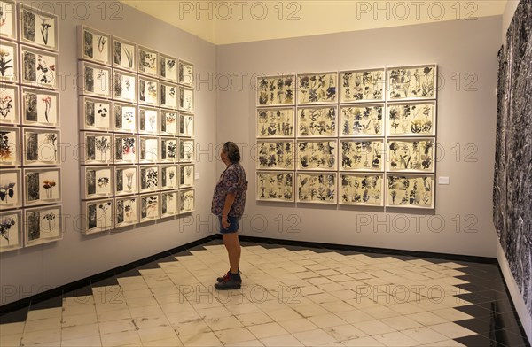 Art exhibition 'Atlas' by Jan Hendrix, Casa de Montejo, Merida, Yucatan State, Mexico, Central
