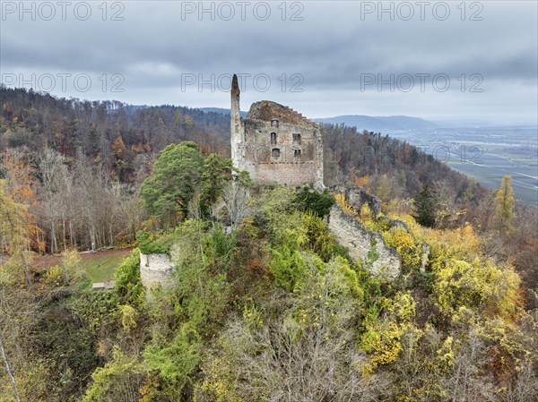 Aerial view of the ruins of Altbodman on the Bodanrück, above the village of Bodman in autumn