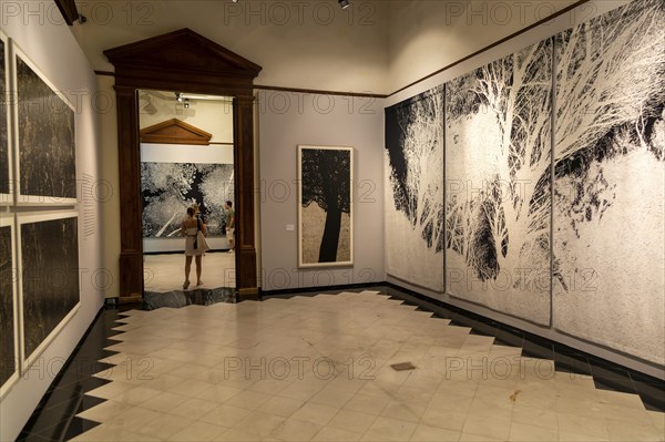 Art exhibition 'Atlas' by Jan Hendrix, Casa de Montejo, Merida, Yucatan State, Mexico, Central