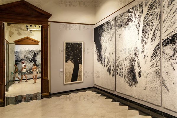 Art exhibition 'Atlas' by Jan Hendrix, Casa de Montejo, Merida, Yucatan State, Mexico, Central